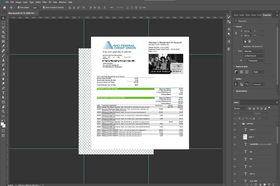 États-Unis APCI Federal Credit Union relevé de compte Modèle Word et PDF template